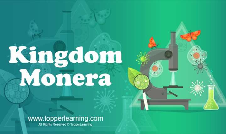 videoimg/CBSE_ClassXI_Biology_BiologicalClassification_KingdomMonera.jpg