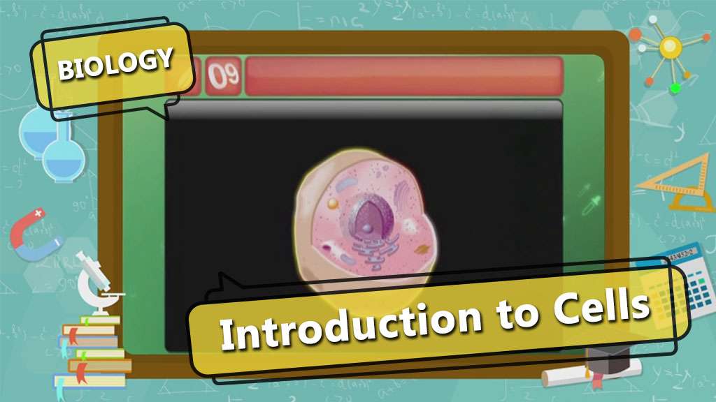 ICSE Class 10-Cell - Introduction