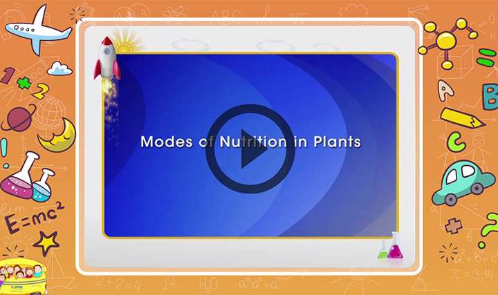 videoimg/Modes_of_Nutrition_in_Plants_ENG.jpg