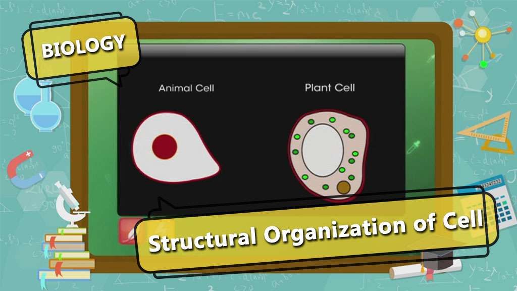 ICSE Class 10-Cell - Basic Structure