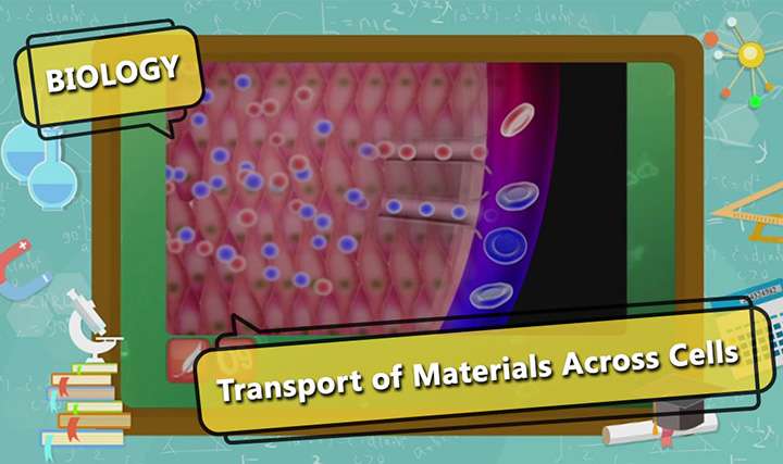 videoimg/Transport_of_Material_Across_Cells_ENG_SEG_01_New.jpg