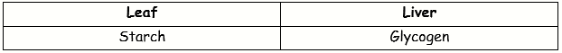 ICSE Class 10 Sample Papers Biology 2021_S6-7