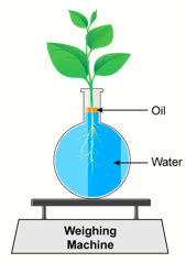 ICSE Class 10 Sample Papers Biology 2021_Q16-1