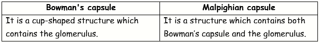 ICSE Class 10 Sample Papers Biology 2021_S6-8