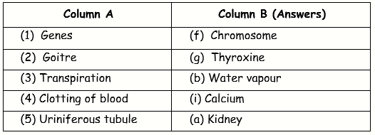 ICSE Class 10 Sample Papers Biology 2021_S11_3-2