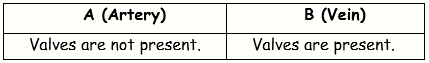 ICSE Class 10 Sample Papers Biology 2021_S11_S7-2