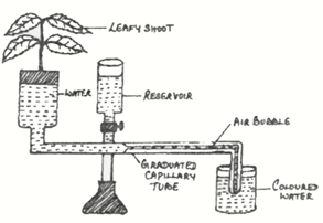 ICSE Class 10 Sample Papers Biology 2021_Q14-1