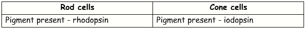 ICSE Class 10 Sample Papers Biology 2021_S6-1