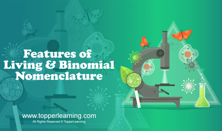 videoimg/CBSE_ClassXI_Biology_TheLivingWorld_FeaturesofLivingandBinomialNomenclature_06feb2018.png