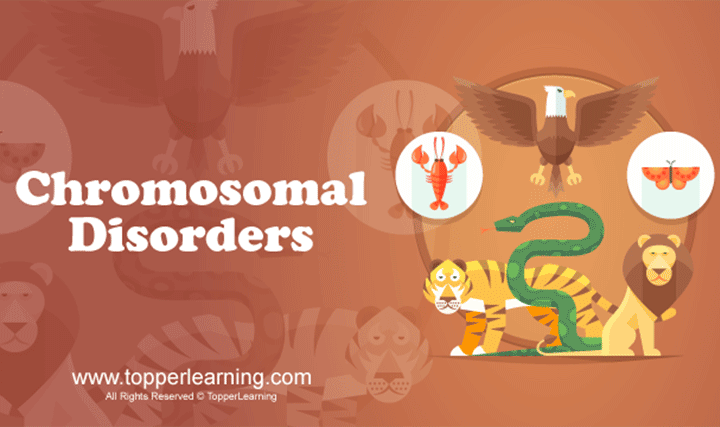 videoimg/CBSE_ClassXII_Biology_ChromosomalDisorders.png