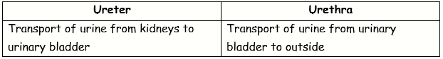 ICSE Class 10 Sample Papers Biology 2021_S6-2