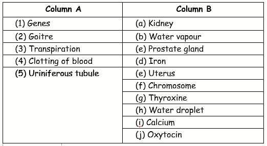 ICSE Class 10 Sample Papers Biology 2021_Q11_1-3